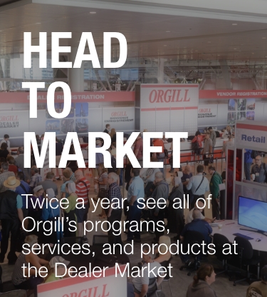 The Dealer Market Advantage Banner